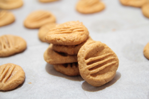 עוגיות חמאת בוטנים